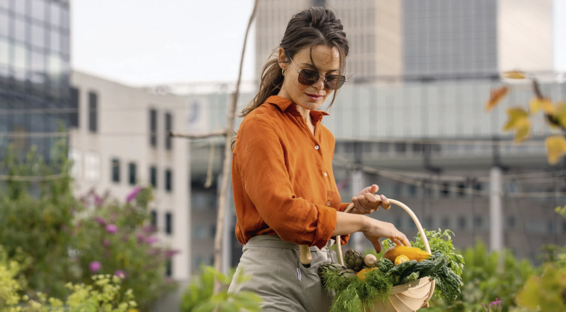 Lentile fotocromatice Hoya